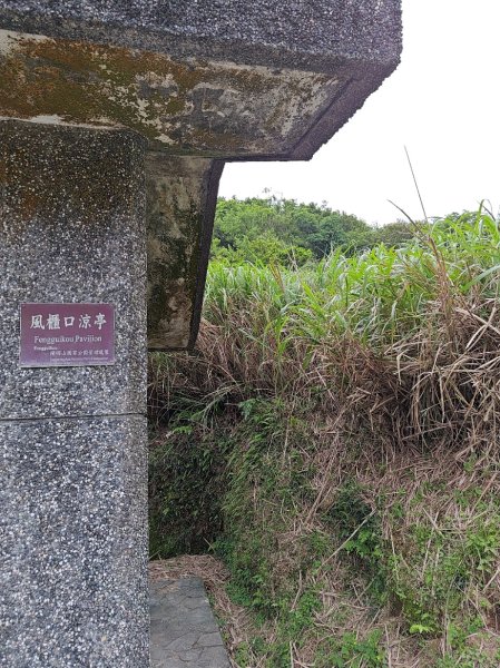 臺北大縱走第三段 小油坑至風櫃口2774174