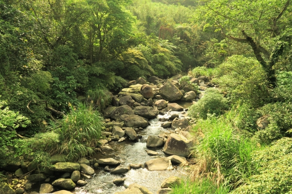 2016.4.5坪頂古圳－中社路健走46621