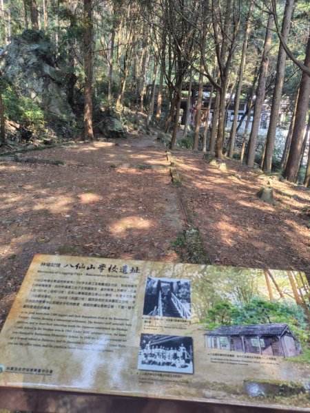 佳保台山3079379