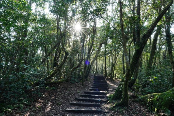 桃園-三峽 志繼山、東眼山、拉卡山、卡外山3005186
