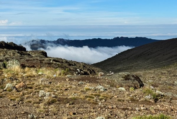 吉利馬札羅北方環線（Kilimanjaro Northern Circuit trek）2415778