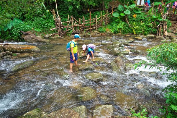 淡蘭古道中路之中坑、崩山坑古道O型685797