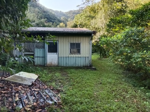 五堵獅頭山無菸步道2969482