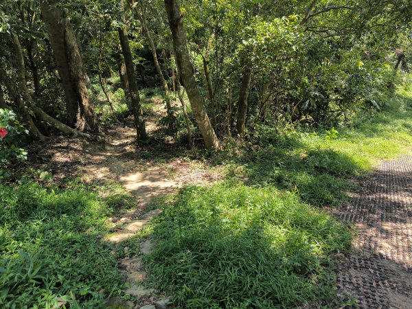 20250830天上山、旺旺嶺、太極嶺2874084