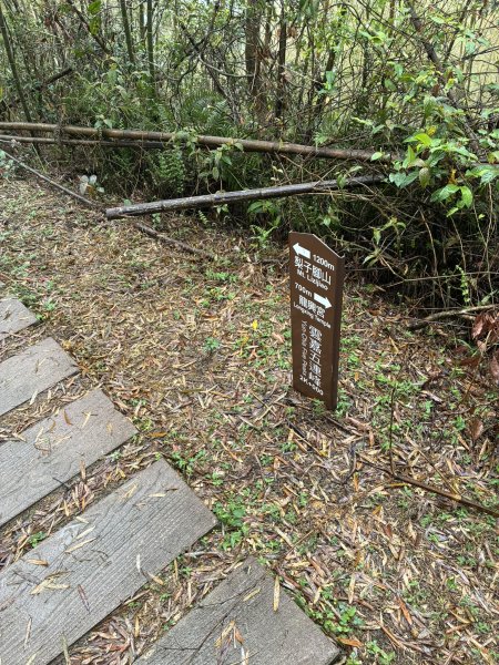 20260406[公車]雲嘉連峰-二尖山+馬鞍山+梨子腳山+太平山+太平山西峰3031088