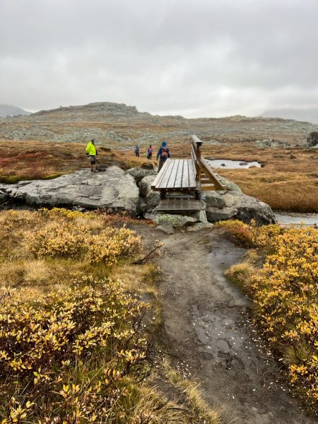 Norway-FINSE-Hardangervidda冰河高原健行-未竟2917786
