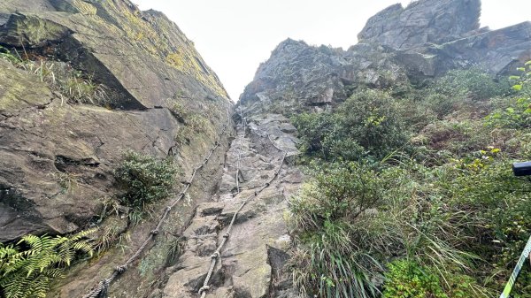 黃金三稜賞芒花2950877