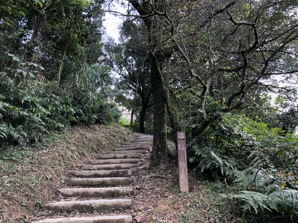 台灣小百岳No.011姜子寮山908425