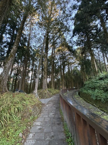 20251225塔山步道(大塔山)2970258