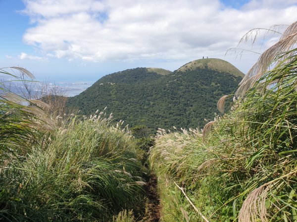 興福寮登山口上大屯山1561327