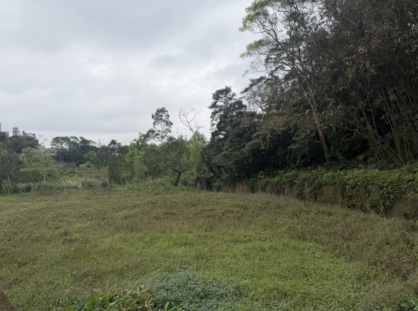 [樟之細路_第一大段RSA08] 2026_0328 小粗坑古道3025760