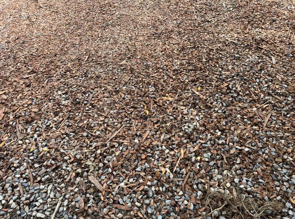 [微笑山線_第十二段] 2025_0803 五分山系_望古瀑布2851534