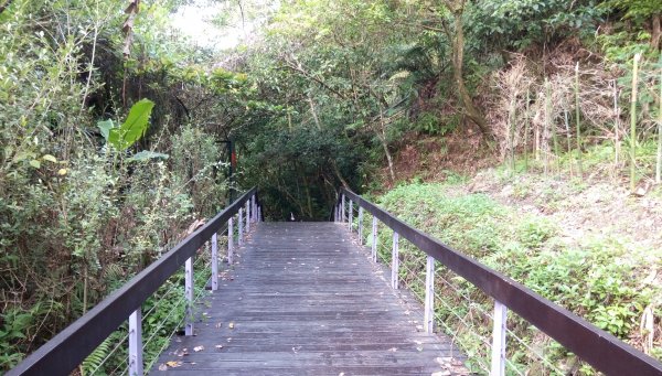 2018-09-19桃園市大溪區-百吉林蔭步道462531