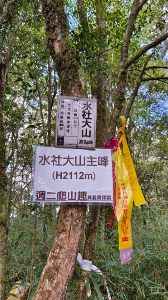 水社大山/水社主峰（青年活動中心起登）1613899