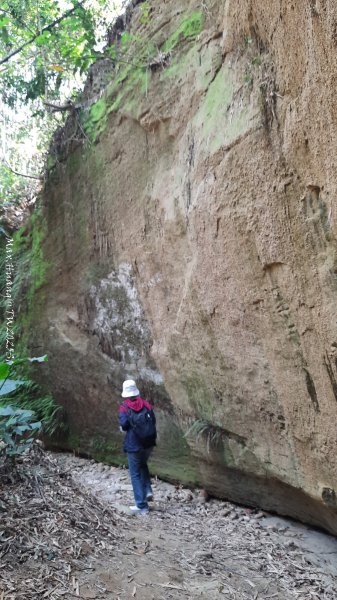 《彰化》原始峽谷｜八卦山一線天步道202502282723532