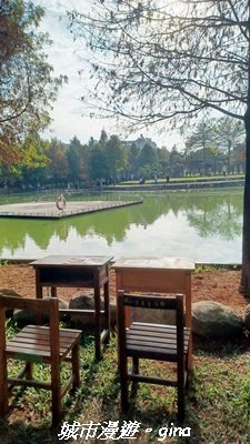 【南投名間】欣美創意園區~落羽松2968330