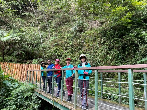 2度強渡關山未竟之藤枝國家森林遊樂區 多納部落 新威森林公園輕鬆走1880443