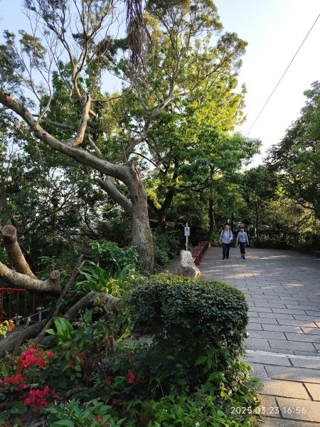 【臺北大縱走 5】碧山巖→忠勇山越嶺步道→金龍產業道路→圓明寺步道→鄭成功廟步道→文間山→劍潭山步道2744794