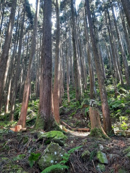 11.09橫嶺山一日2645464