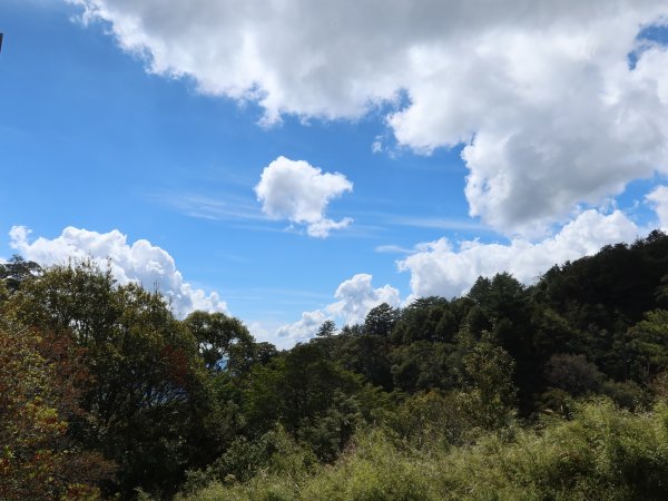 奇萊南華DAY1:屯原登山口高繞-天池山莊2473407