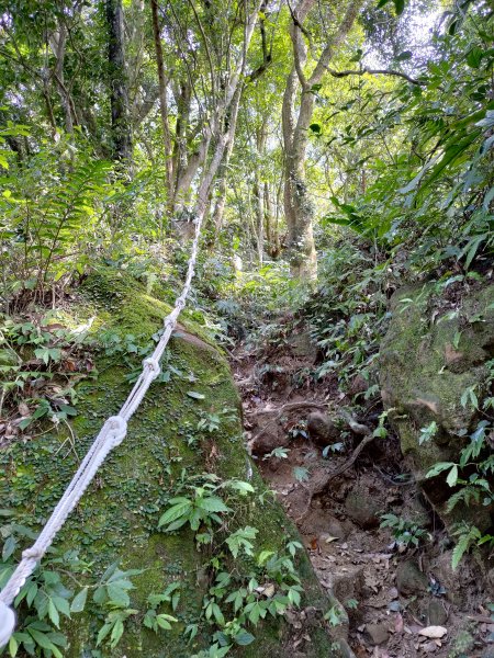 石門山好漢坡-小粗坑-小竹坑古道1279057