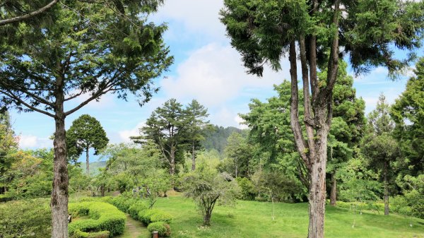 阿里山森遊區-祝山,對高岳步道2537008