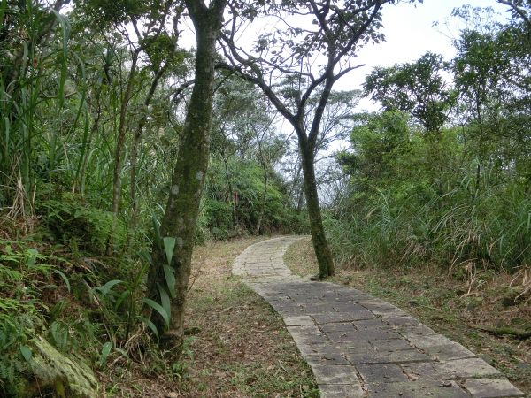平湖森林步道．內平林山109368