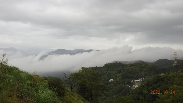 十三股山(永安社區/台北花園公墓)日出雲海&二格山白牆槓龜 9/171886584