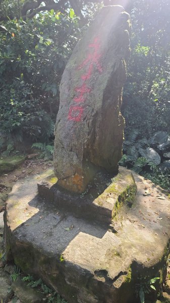 2025-0204 鶯歌_大凍山_三角埔頂山_迴龍2707908