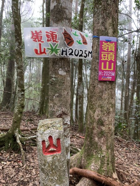 202060718南投嶺頭山3090446