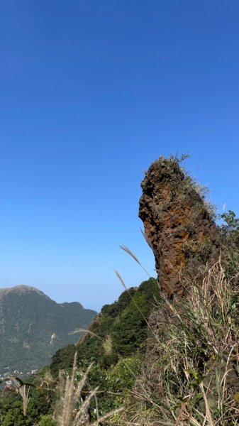 黃金博物館-一柱擎天-半平山-燦光寮山-地質公園-黃金神社-黃金博物館2363107