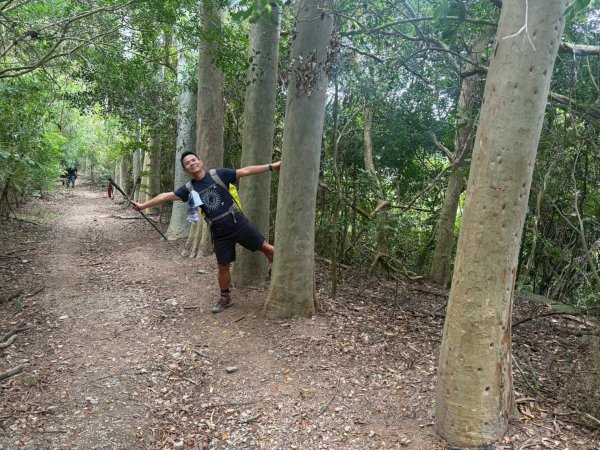 浸水營古道【因為熱門才能變得方便】3003164