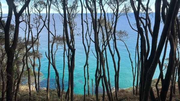 燈塔與懸崖 + 桑托尼亞的布西耶羅峰 🇪🇸 西班牙2771438