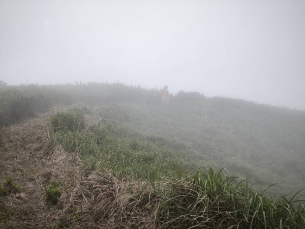宜蘭-鶯子嶺山 鶯子頂山3055004