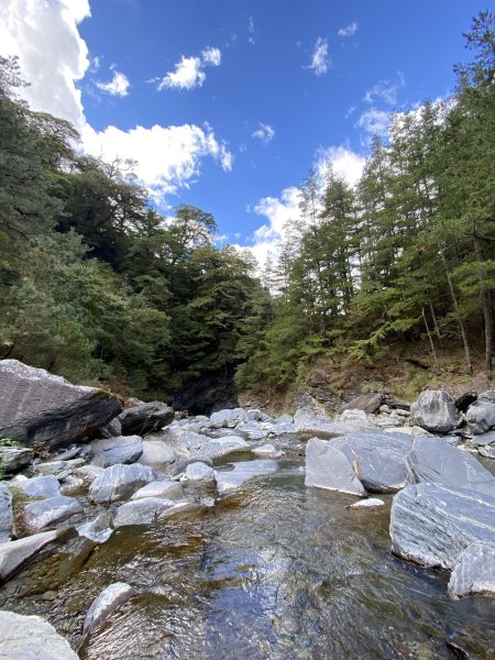 南湖中央尖-------北一段2868246