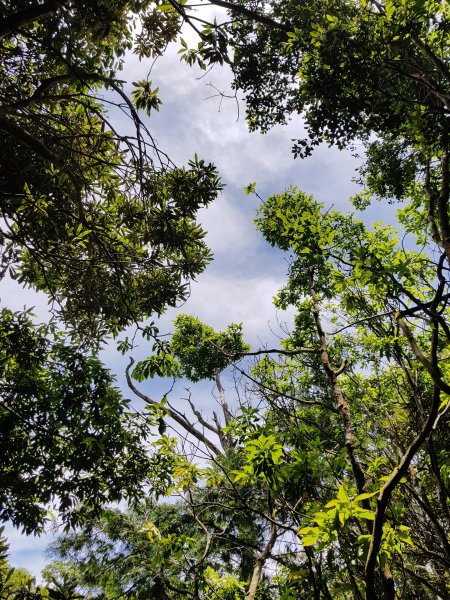 復興三尖之那結山1423089