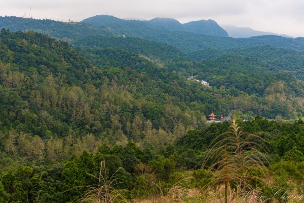 [宜蘭]鵲子山2932536