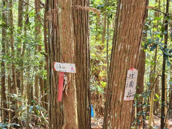 【中級山】邑治第一山，守城大山，連走守關山，守關山南峰2740907