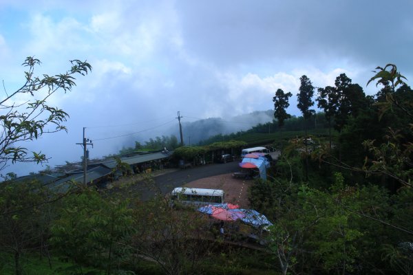 雲林．古坑雲嶺之丘&杉林步道2023/07/152238580