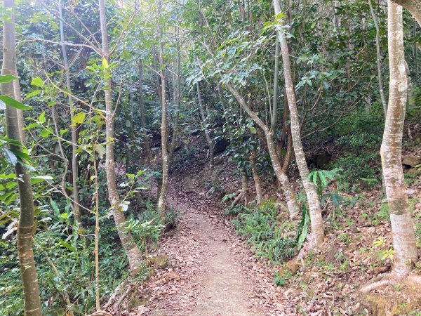 九份二山登山步道2688026