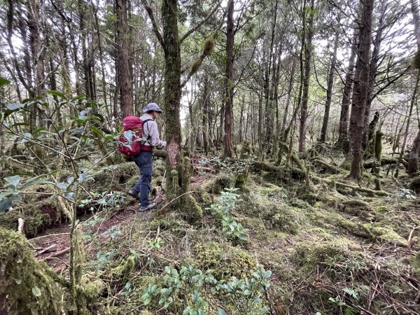 魔幻森林三星山與三星池1658312