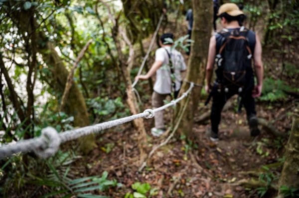 大武崙山｜小百岳2835060