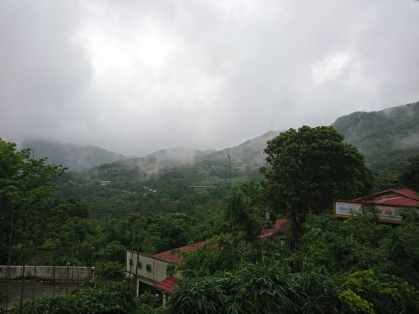 貓空樟樹步道 2017.05.21139495