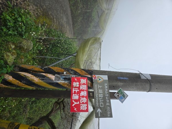 馬那邦山之雲海／雲瀑／楓紅／太陽琉璃光2668235