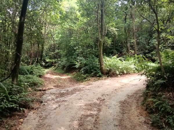 汐止區夢湖保線路+單車夢湖路O型2894081