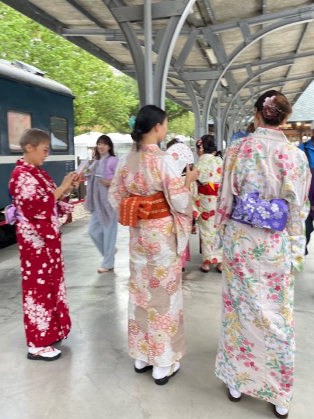 雨天備案💙 台灣博物館的古生代館-台大動植物館免費參觀-北投♨️季2929264