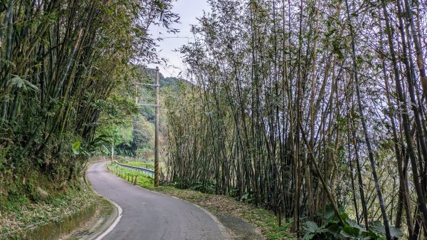 石門茶山步道2396571