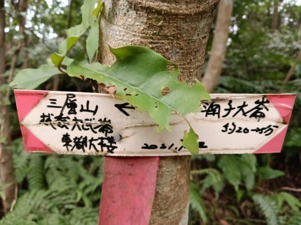 基隆市三層山+湳子大崙+淡基橫斷古道+面桶寮土地公2982239