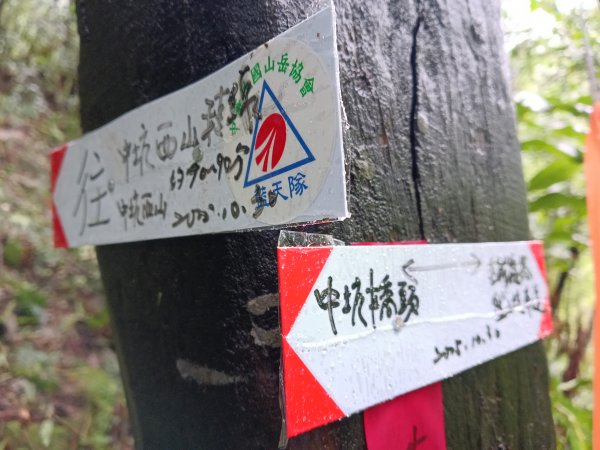 雙溪區中坑橋+中坑西山尾稜+中坑西山+內盤山坑古道+中坑橋O型2929521