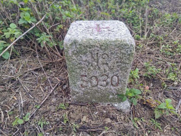 梅山鄉撿山頭2449457